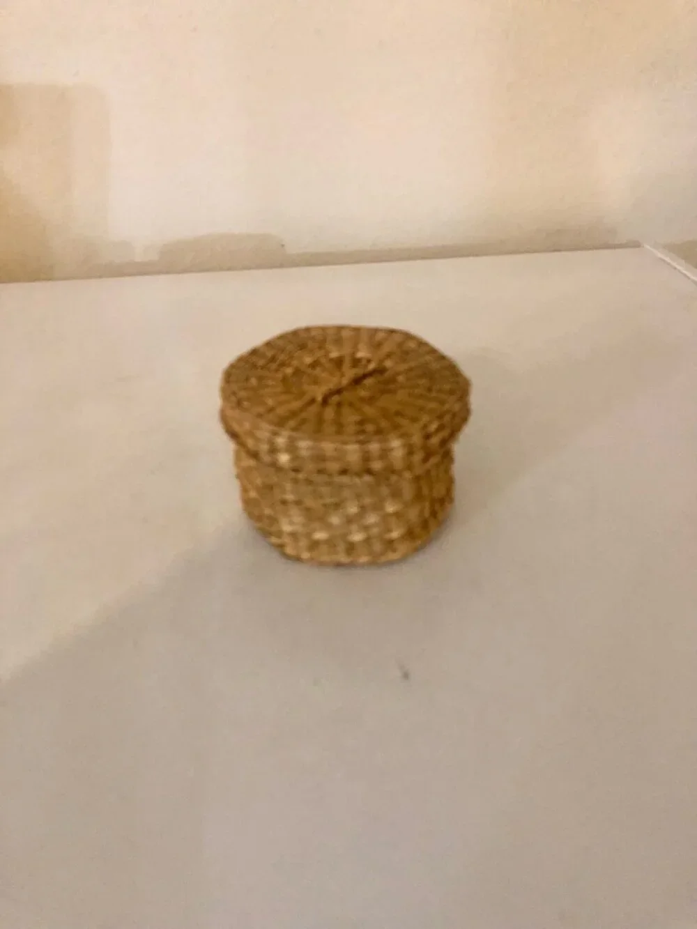Woven Small Reed Basket with Lid
